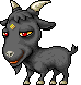 Black Goat